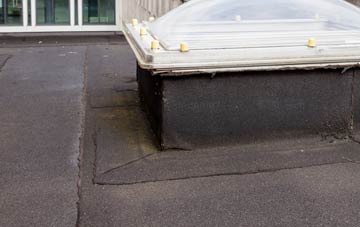 disadvantages of Dalhalvaig flat roofs