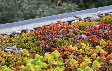 the cost of Dalhalvaig green roof installation