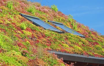 Dalhalvaig living roof systems