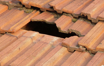 roof repair Dalhalvaig, Highland